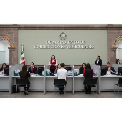 Servicios de Gestoría Vehicular 14 tramitesvehiculares_correccion_datos